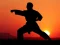 Игра Karate Sunset Warriors онлајн