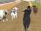 Игра Angry Bull Racing онлајн