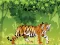 Игра Angry Tiger Coloring онлајн