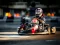 Игра Kart Karting онлајн