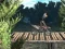 Игра Bike Trial Xtreme Forest онлајн