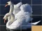 Игра Animals Slide Puzzle онлајн