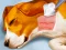 Игра Dog Hospital онлајн
