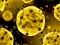 Игра Coronavirus Slide онлајн
