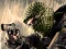 Игра Terrorist Shootout онлајн