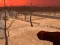 Игра Wasteland Shooters онлајн