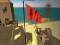 Игра Sure Shot онлајн