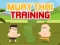 Игра Muay Thai Training онлајн