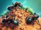 Игра Ant Colony онлајн