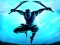 Игра Shadow Ninja Revenge онлајн