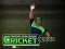 Игра Cricket Fielder Challenge онлајн
