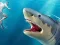 Игра Shark Hunting онлајн