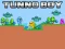 Игра Tunno Boy онлајн