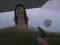 Игра The Island of Momo онлајн