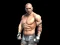 Игра Fight Arena Online онлајн