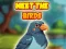 Игра Meet The Birds онлајн