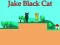 Игра Jake Black Cat онлајн