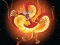 Игра Chinese Dragons Coloring онлајн