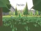 Игра Precision онлајн
