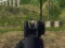 Игра Army Shooter онлајн