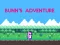 Игра Bunn's Adventure онлајн