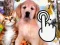 Игра Pets Clicker онлајн