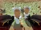 Игра Shooting Survival Skibidi Toilet онлајн