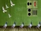 Игра Pigeon Escape 2 онлајн