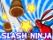 Игра Slash Ninja онлајн