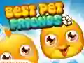 Игра Best Pet Friends онлајн