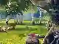 Игра Scout Camp онлајн
