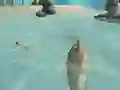 Игра Shark Simulator Beach Killer онлајн