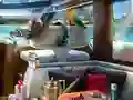Игра Caribbean Crime онлајн