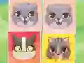Игра Kitten Match онлајн