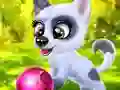 Игра Happy Dog онлајн