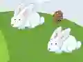 Игра Crazy Eggs онлајн