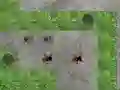 Игра Spider Tower Defence онлајн