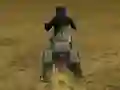Игра Real Moto Stunts Challenge онлајн