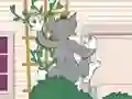 Игра Tom und Jerry: Wasserbomben Wahnsinn онлајн