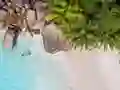 Игра Seychelles Beach Jigsaw Puzzle онлајн
