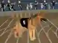 Игра Crazy Dog Racing Fever онлајн
