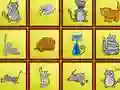 Игра Cats Findiff онлајн