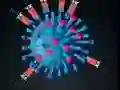 Игра Kill The Coronavirus онлајн