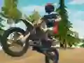 Игра Dirt Bike Enduro Racing онлајн