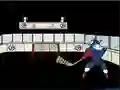 Игра Capitaine Cage Hockey онлајн
