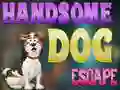 Игра Handsome Dog Escape онлајн