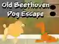 Игра Old Beethoven Dog Escape онлајн