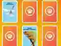 Игра National Geographic Kids Matching онлајн