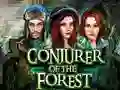 Игра Conjurer Of The Forest онлајн