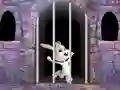 Игра Victory Rabbit Escape онлајн